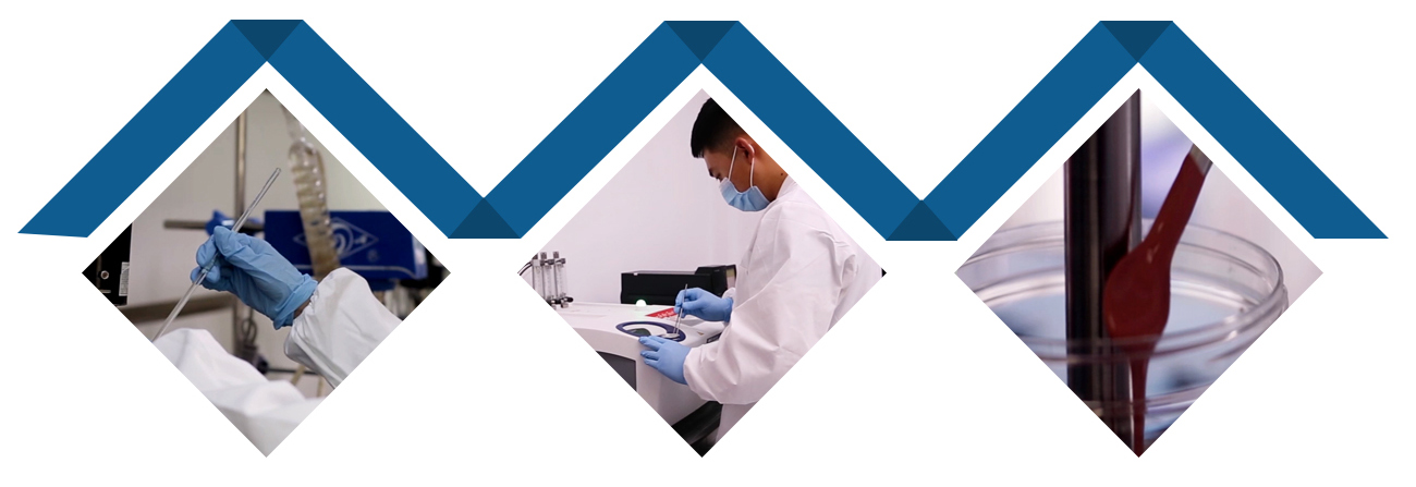 十大滚球app官网