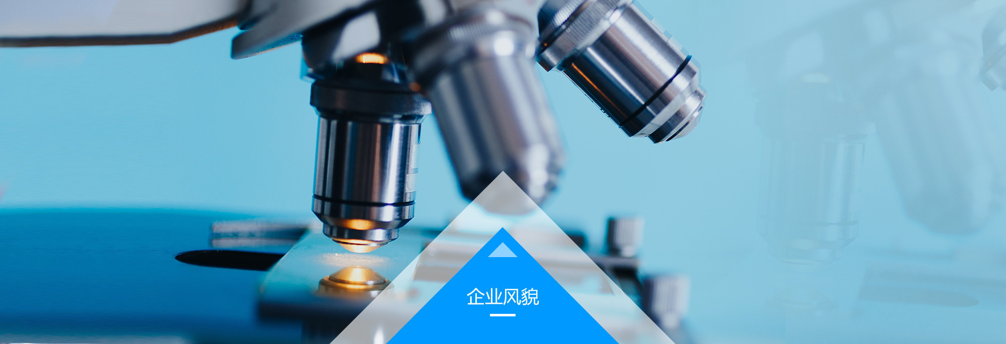 十大滚球app官网